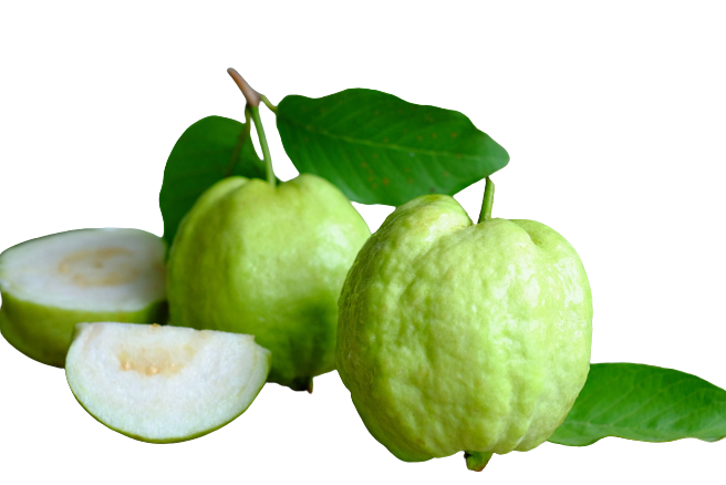 健康天然的芒果洛神花，芒果，芭樂，秋葵，天然農產品，原汁，原味，洛神花茶，健康餐點，現採樹頭鮮，學術#健康天然的芒果洛神花，芒果，芭樂，秋葵，天然農產品，原汁，原味，洛神花茶，健康餐點，現採樹頭鮮，學術研究開發，有機無農藥農產果乾飲料，原汁原味，新鮮水果，原汁，果汁，無化學添加，慢愛文，茶，合格飲料